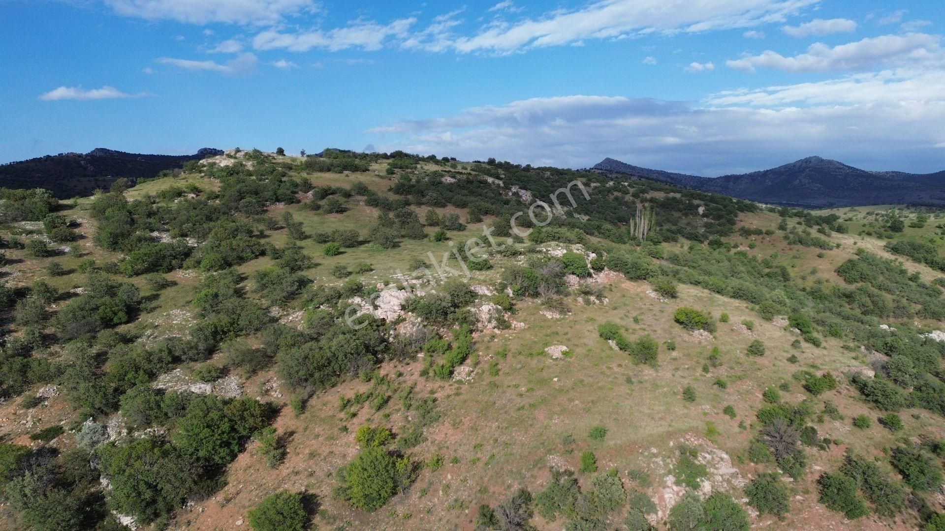 Konya/ Güneysınır / Gürağaç Mahallesinde 1.800 M² Müstakil Tapulu Bağ