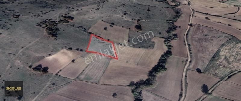 Balıkesir Karesi Halkapınar Mah. Satılık 3500 M2 Tarla