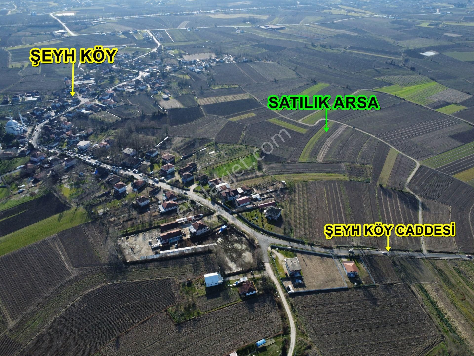 Sakarya - Erenler - Şeyh Köy'de - 1860m2- Satılık Tarla