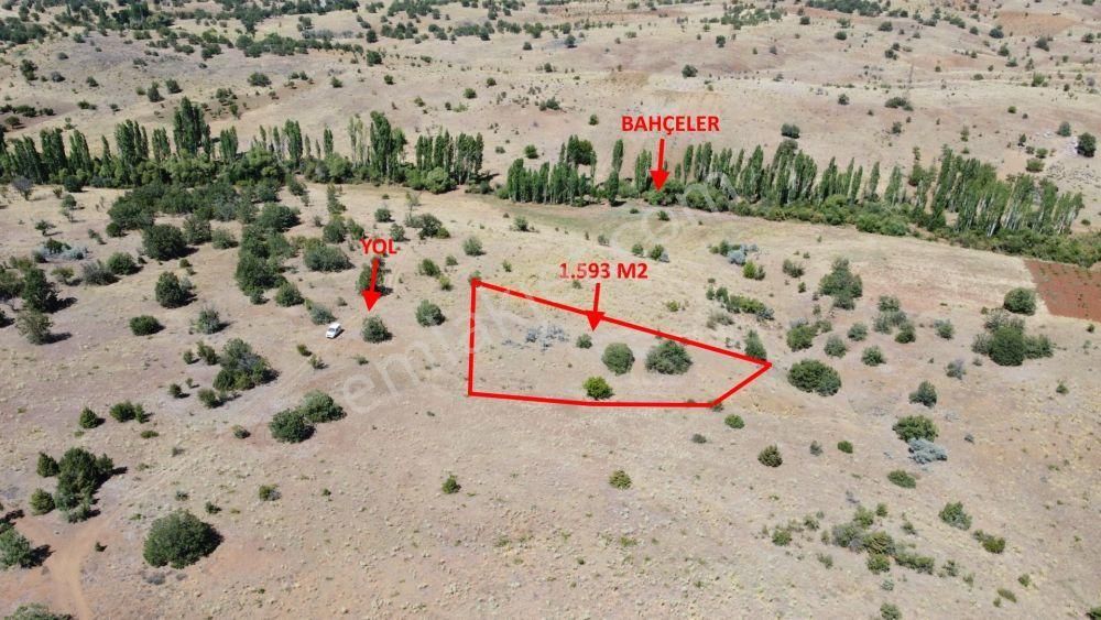 Güneysınır Örenboyalı Mahallesinde 1.593 M2 Müstakil Tapulu Bahçelik