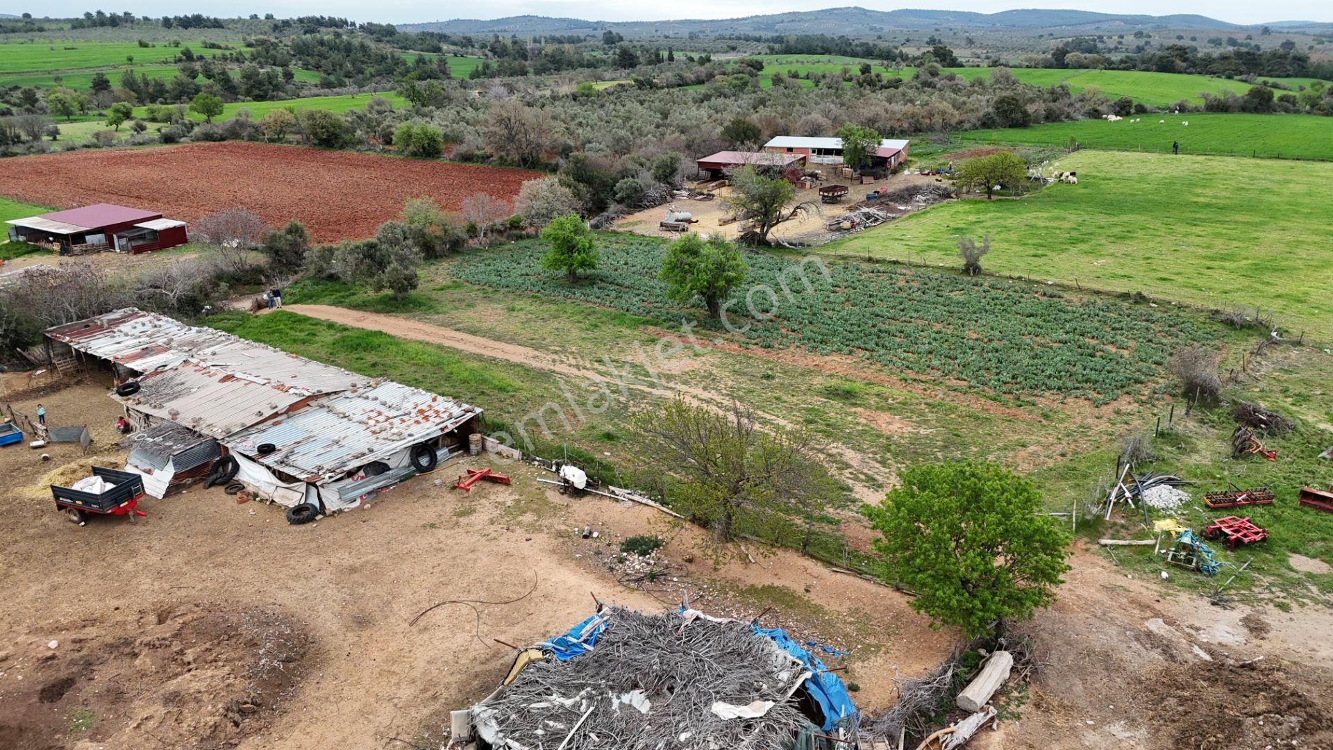 Ezine Güllüce'de Satılık Köyiçi İmarlı Arsa