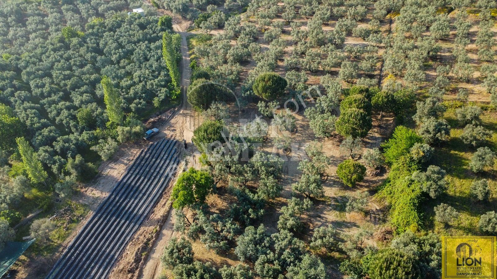 🟨⬛lıon Emlak'tan Erdek Çeltikçi'de Yola Cephe Satılık Şahane Konumlu Satılık 1375m² Zeytinlik⬛🟨 - Görsel 9