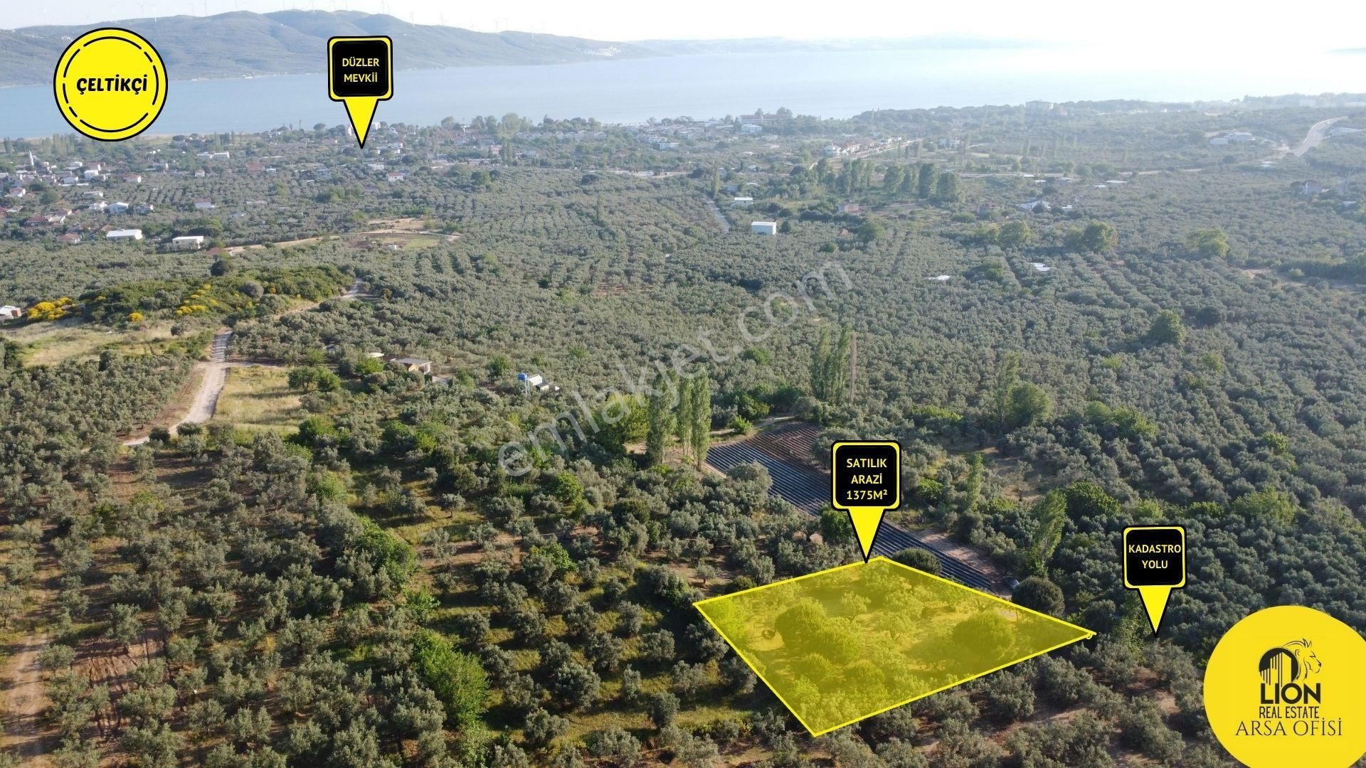 Erdek Çeltikçi Mahallesi Yola Cephe Satılık Şahane Konumlu Satılık 1375m² Zeytinlik
