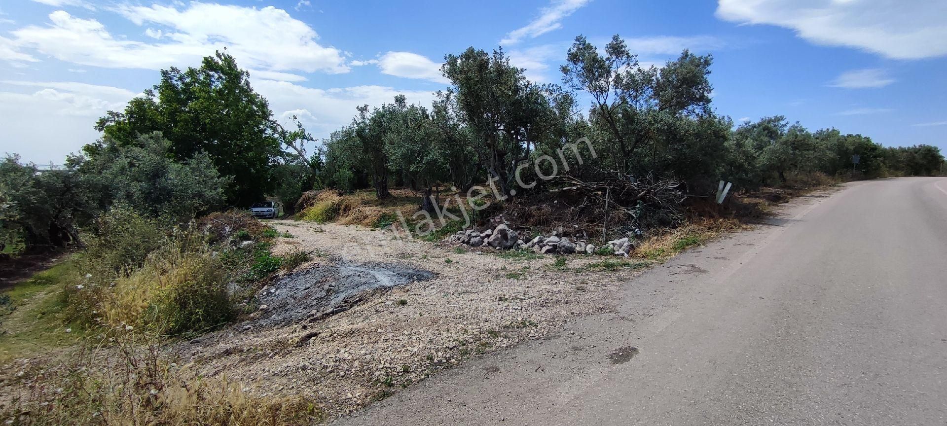 🌿 Bursa Nilüfer Gölyazı’da Göle Yakın, 1050 M² Satılık Arazi - Görsel 11