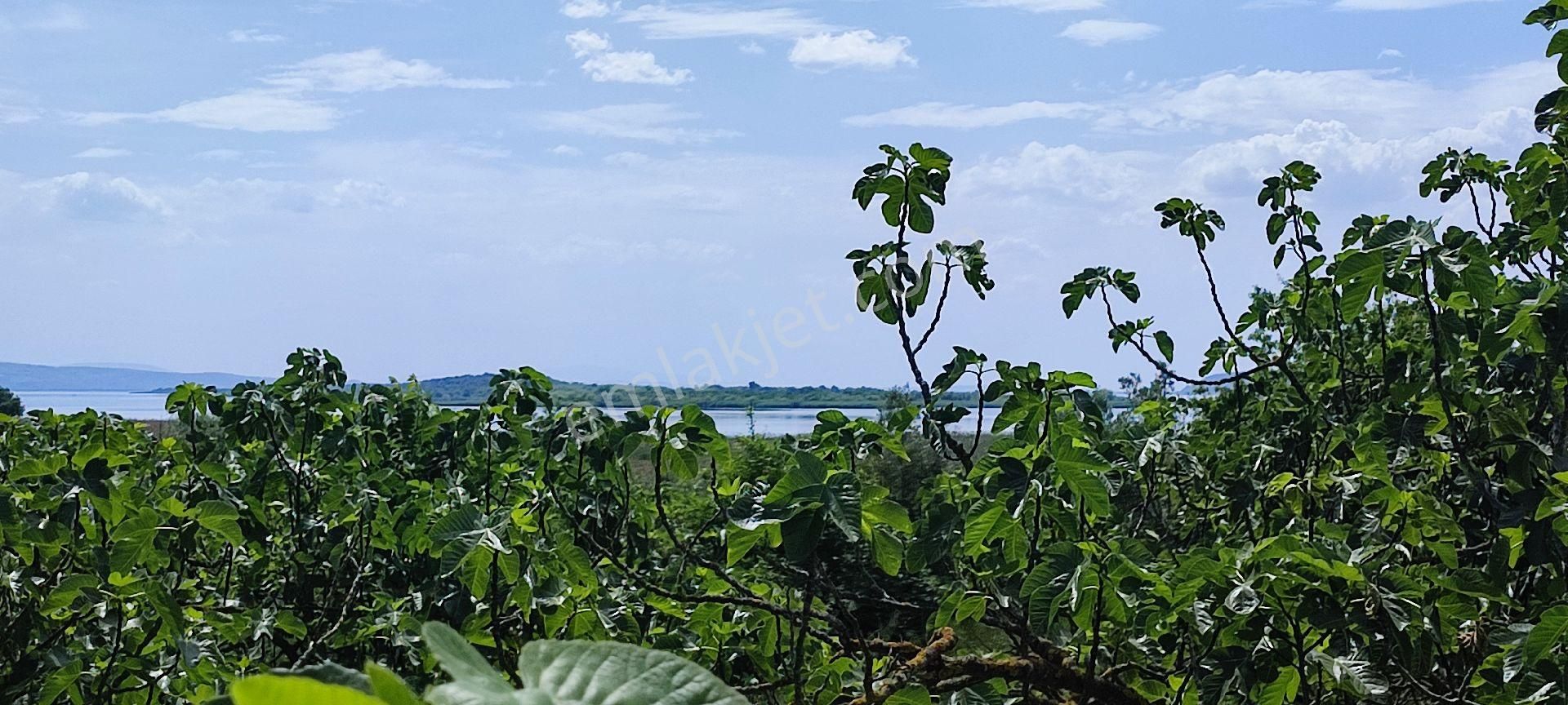 🌿 Bursa Nilüfer Gölyazı’da Göle Yakın, 1050 M² Satılık Arazi - Görsel 14