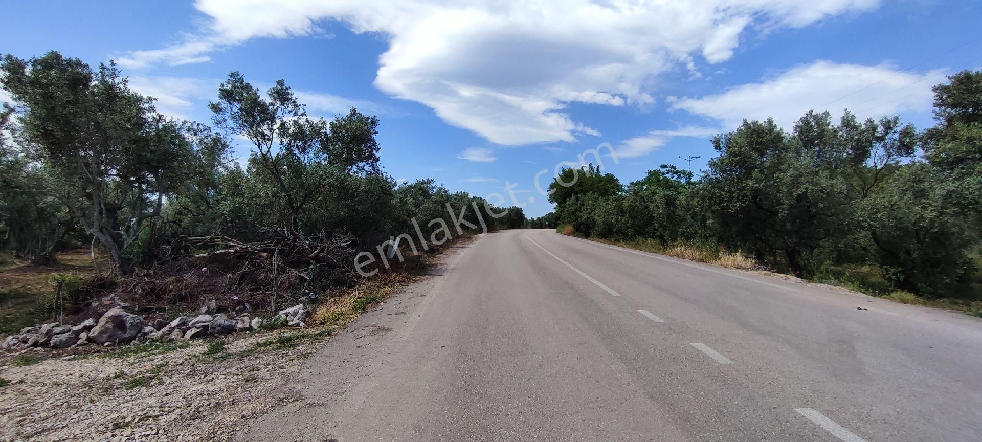 🌿 Bursa Nilüfer Gölyazı’da Göle Yakın, 1050 M² Satılık Arazi - Görsel 7