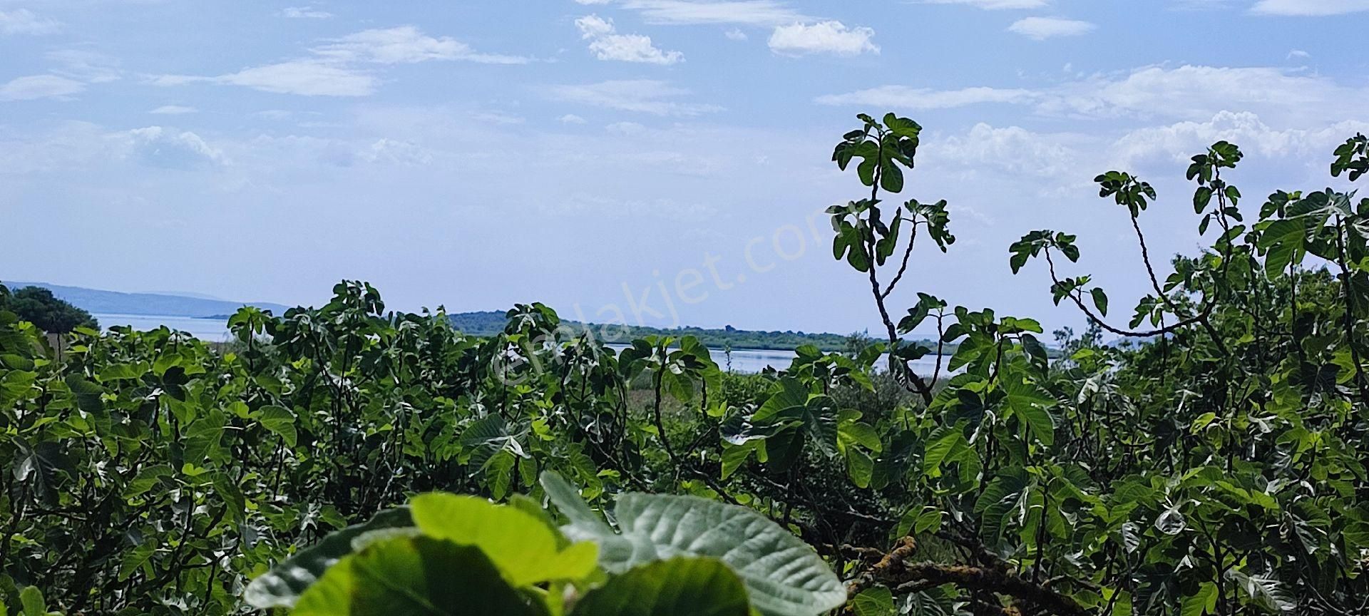 🌿 Bursa Nilüfer Gölyazı’da Göle Yakın, 1050 M² Satılık Arazi - Görsel 15