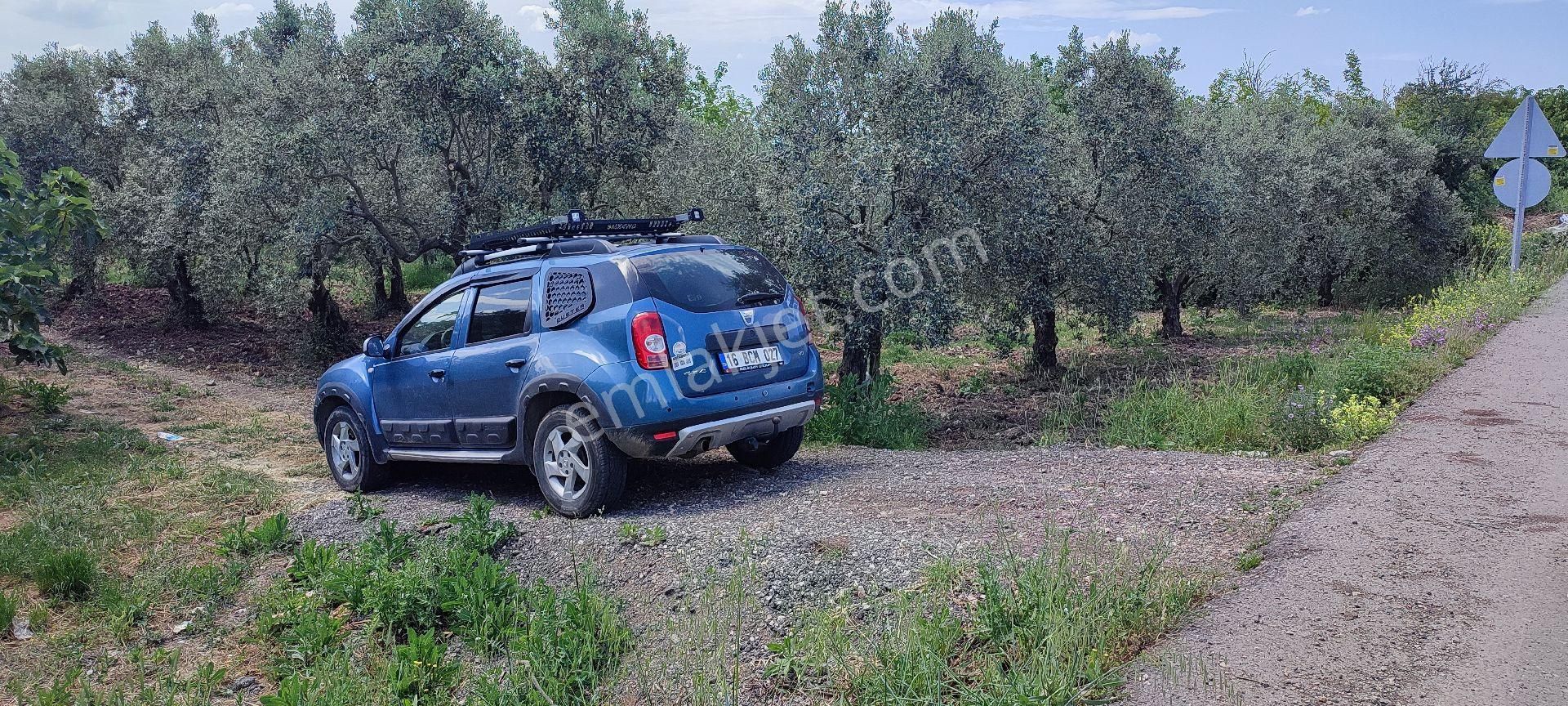 🌿 Bursa Nilüfer Gölyazı’da Göle Yakın, 1050 M² Satılık Arazi - Görsel 5