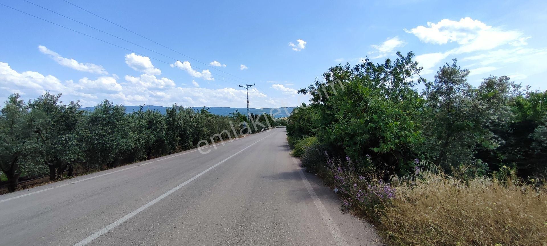 🌿 Bursa Nilüfer Gölyazı’da Göle Yakın, 1050 M² Satılık Arazi - Görsel 6