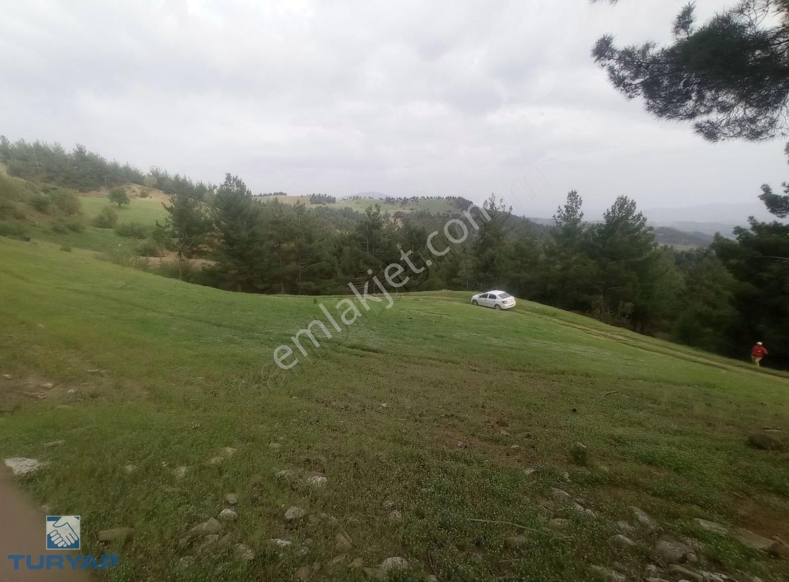Binevler Turyaptan Bozoğlanlarda Satılık Tarla