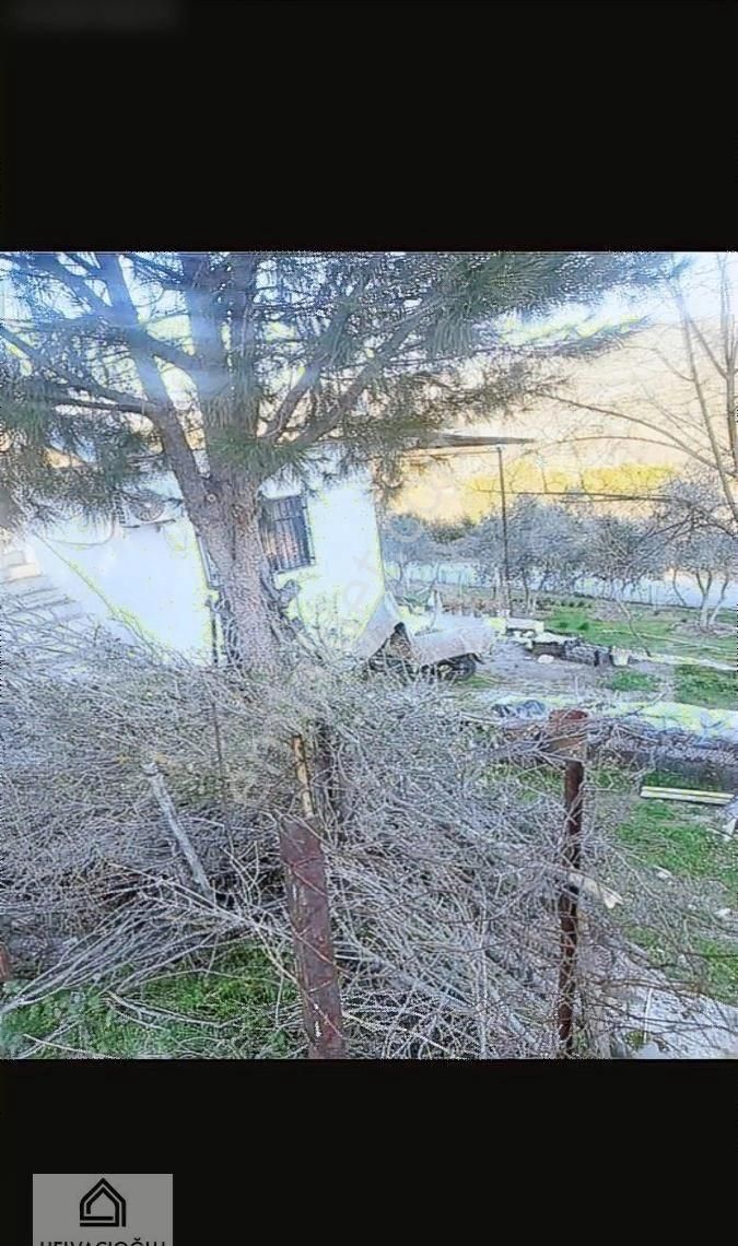 Muğla-yatağan Asfaltına Yakın Satılık Müstakil Ev Ve Tarla