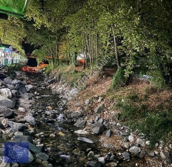 Derekızık'ta Doğa İle İç İçe 1.319 M2 Satılık Bahçe - Görsel 2