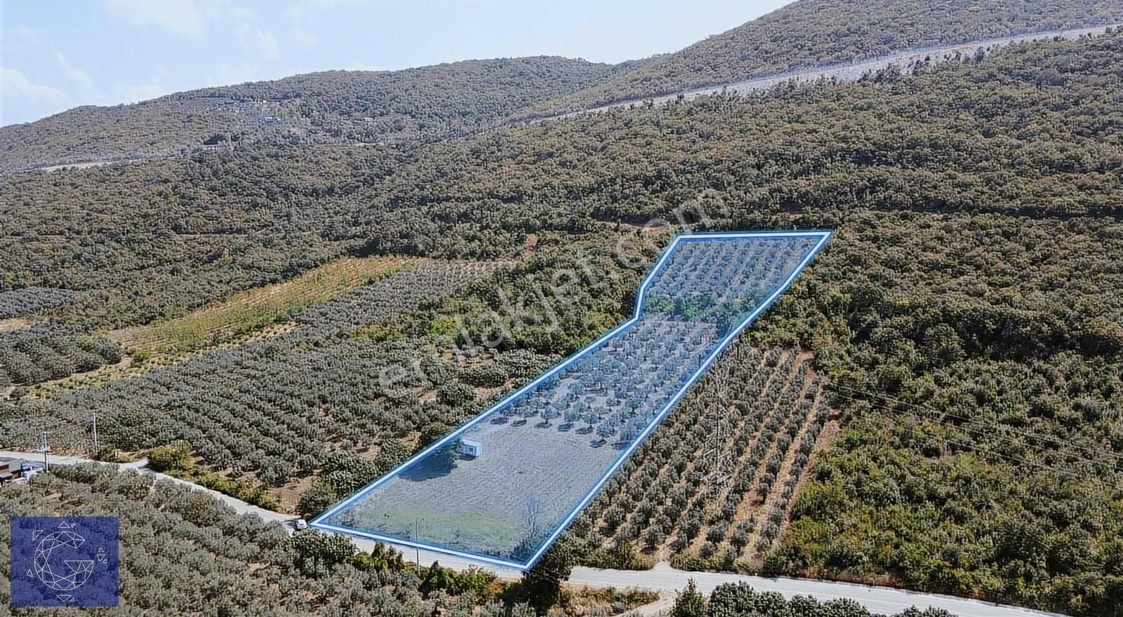 Fadıllı'da Muhteşem Gölyazı Ve Uluabat Manzaralı 12.150 M2 Tarla - Görsel 9