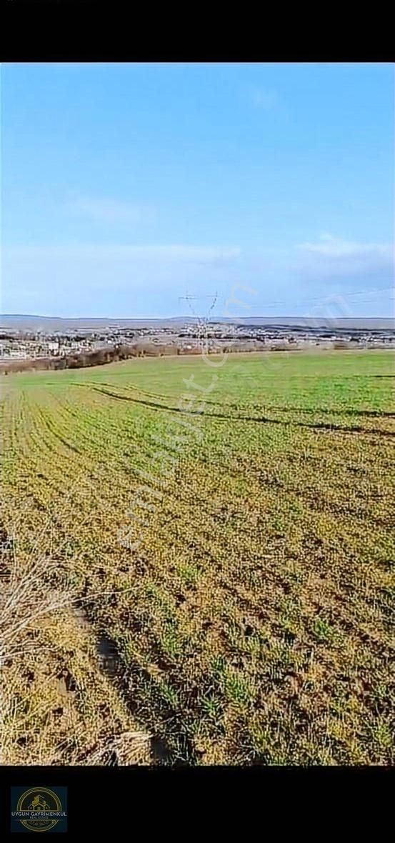 Acil Satılık Çatalca Kabakça Da Noter Onaylı Çaplı Arsa