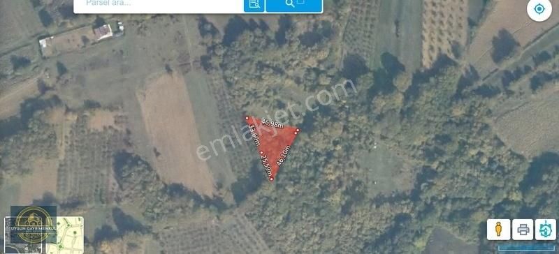 Dalca Da Satılık Mustakil 1.123 M² Tarla