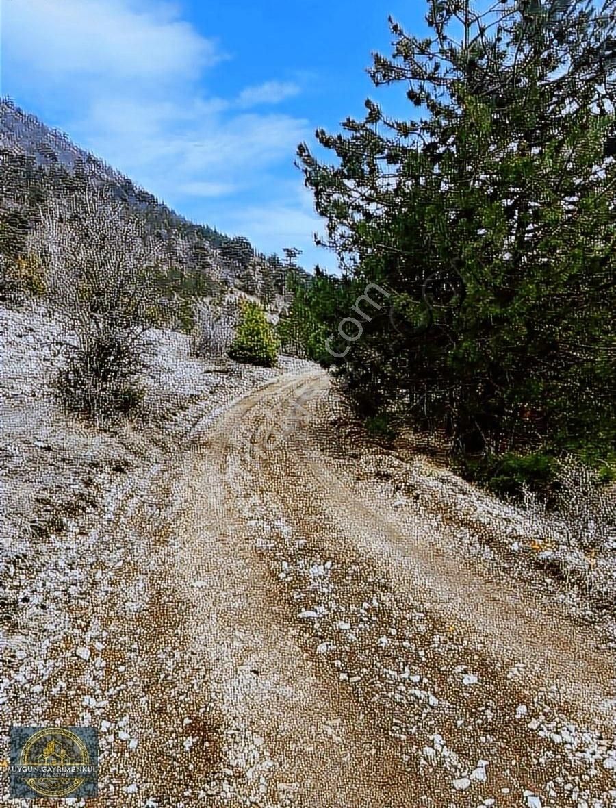 Araç Takasına Uygun Mudurnu Da Satılık Tek Tapu(1.577 M²) Tarla