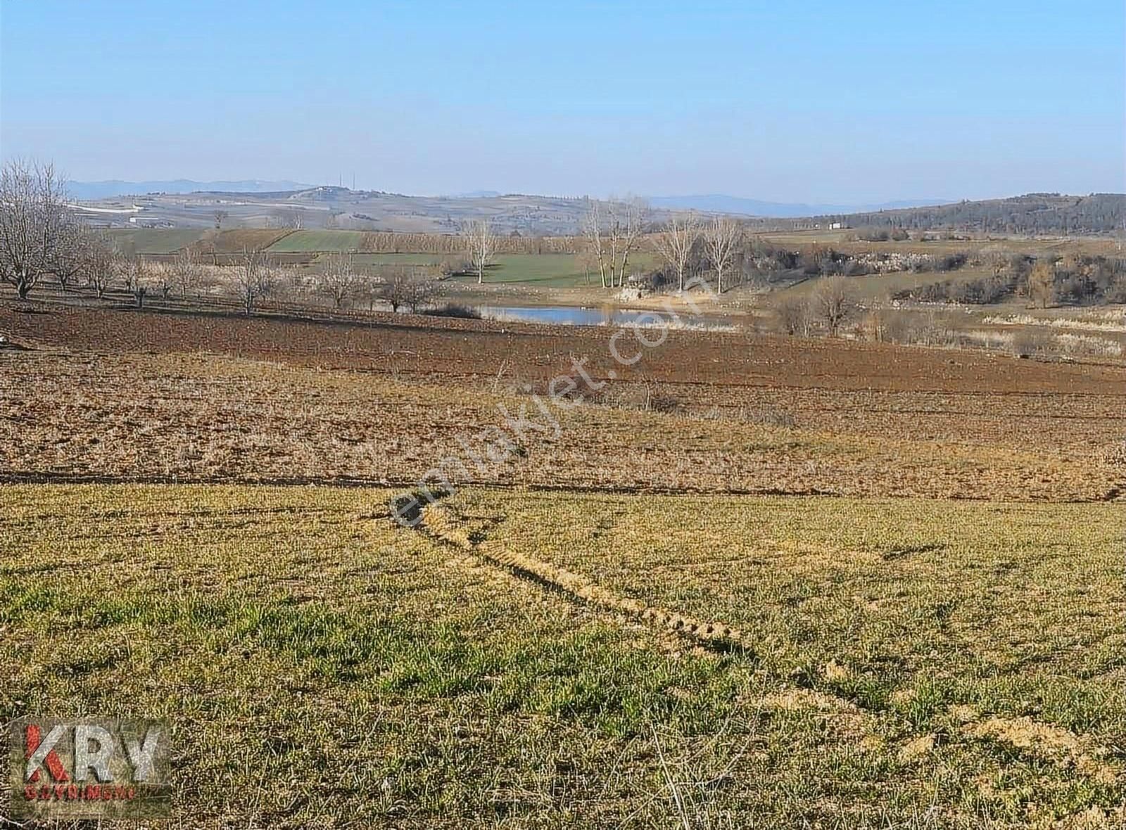 Bursa Yenişehir Orhaniyede 4179 M2 Arazim Satılıktır - Görsel 12