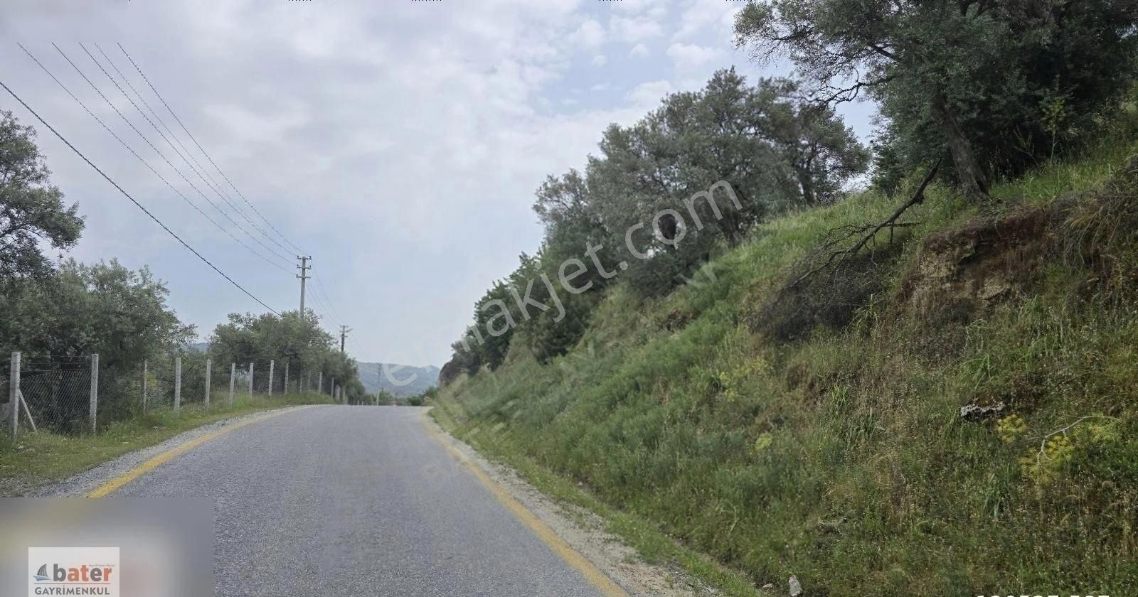 Bater'den Karpuzlu Gölcük'te Yatırımlık 19 Dönüm Zeytinlik