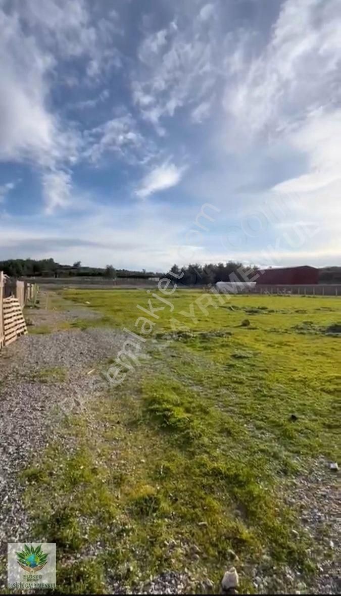Pasifikten Menderes Ataköyde Kök Tapu 300 M² Arazi - Görsel 3