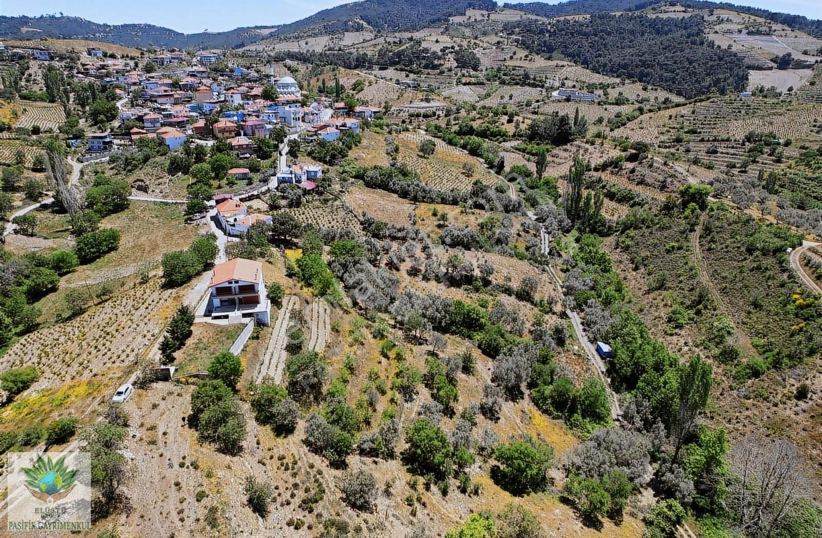 Pasifikten Efemçukurda 4.705 M² Tek Tapu Tarla - Görsel 6