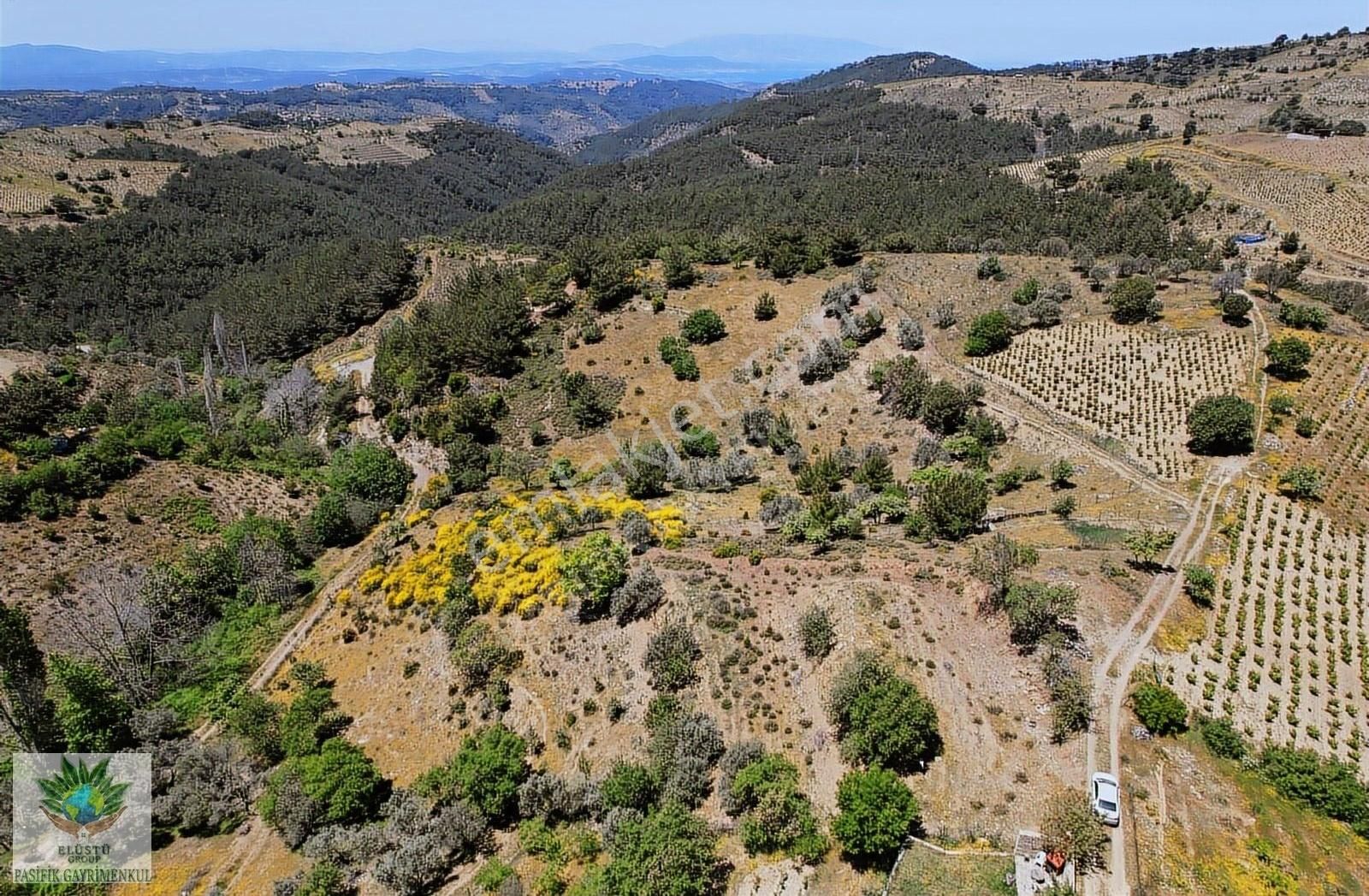 Pasifikten Efemçukurda 4.705 M² Tek Tapu Tarla - Görsel 2