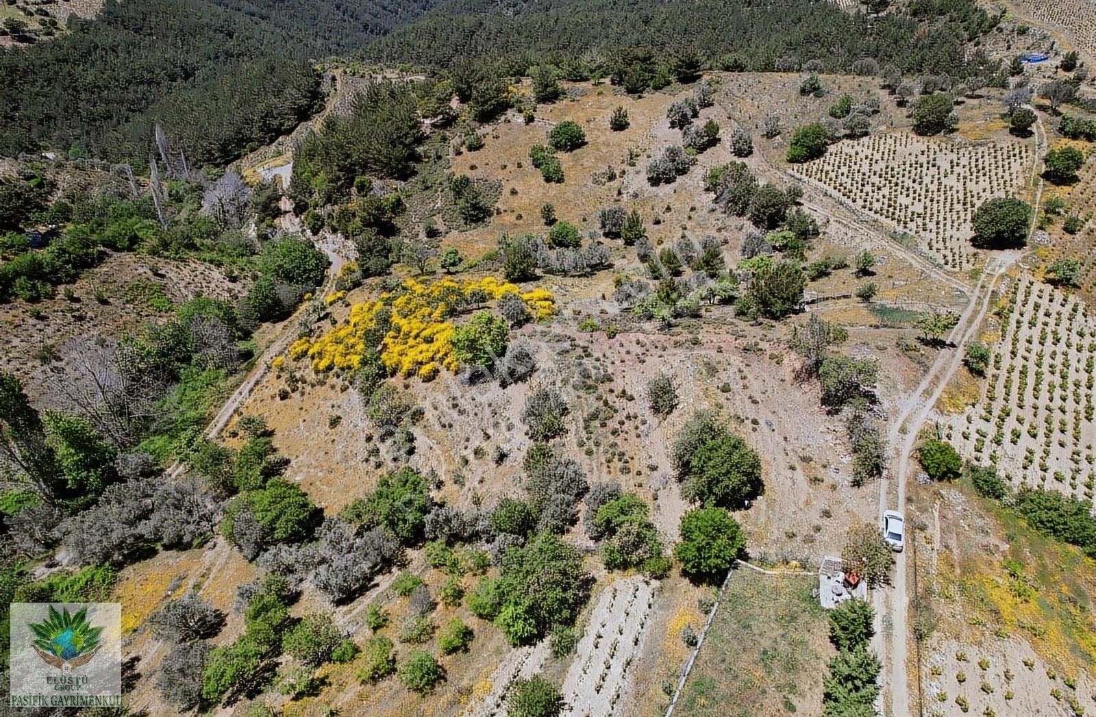 Pasifikten Efemçukurda 4.705 M² Tek Tapu Tarla - Görsel 12