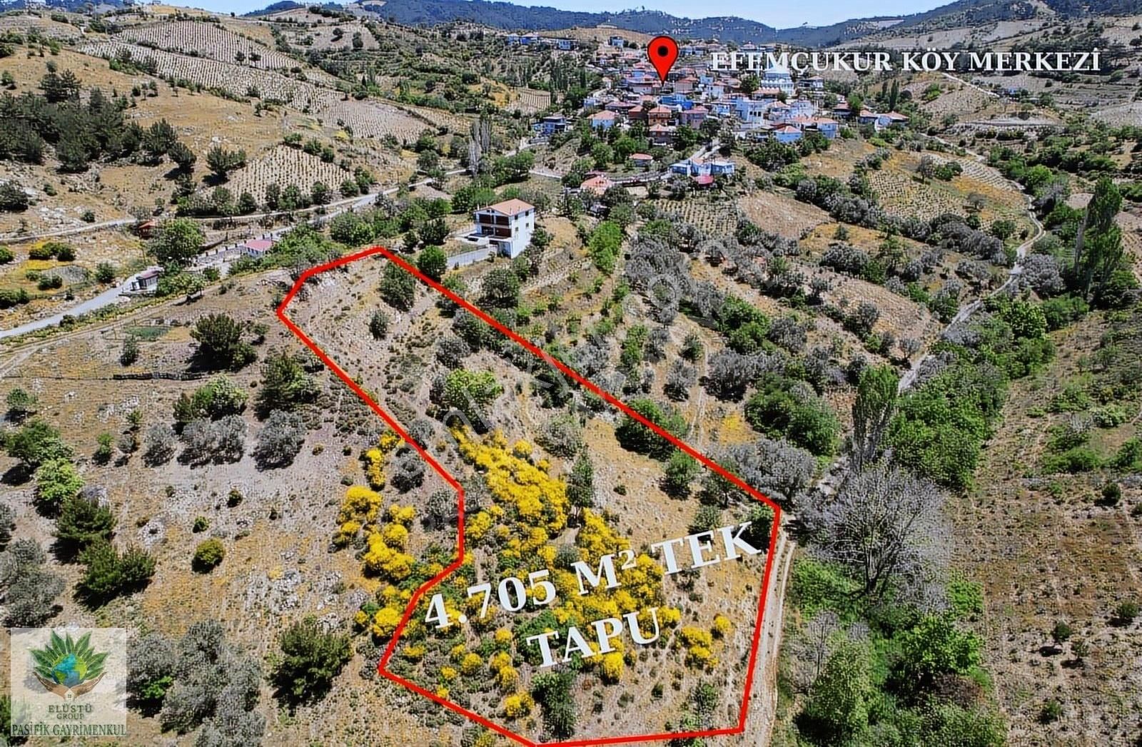 Pasifikten Efemçukurda 4.705 M² Tek Tapu Tarla - Görsel 9