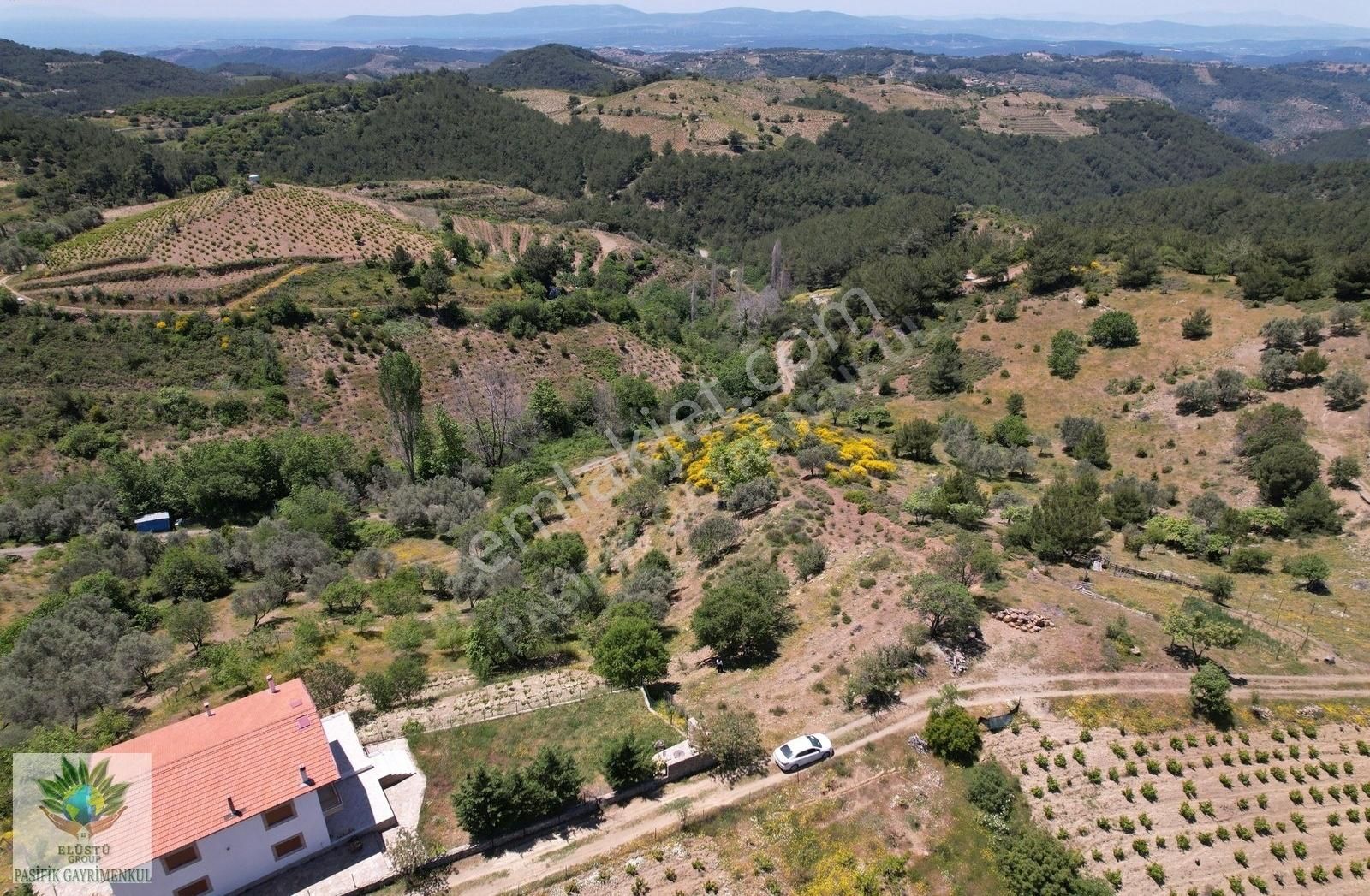 Pasifikten Efemçukurda 4.705 M² Tek Tapu Tarla - Görsel 5