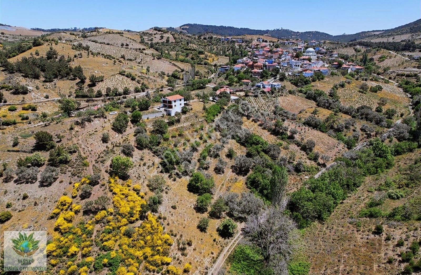 Pasifikten Efemçukurda 4.705 M² Tek Tapu Tarla - Görsel 10