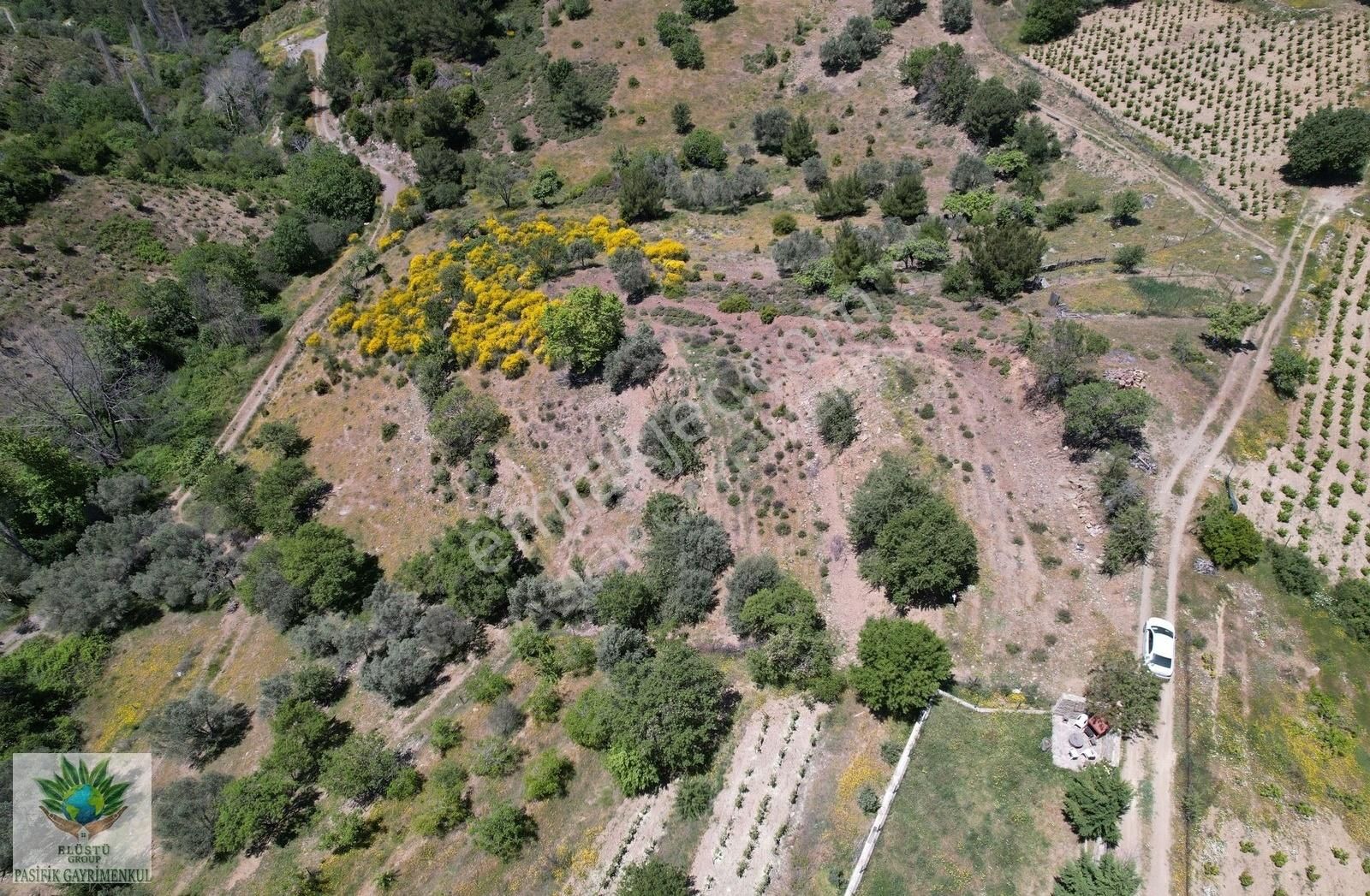 Pasifikten Efemçukurda 4.705 M² Tek Tapu Tarla - Görsel 4