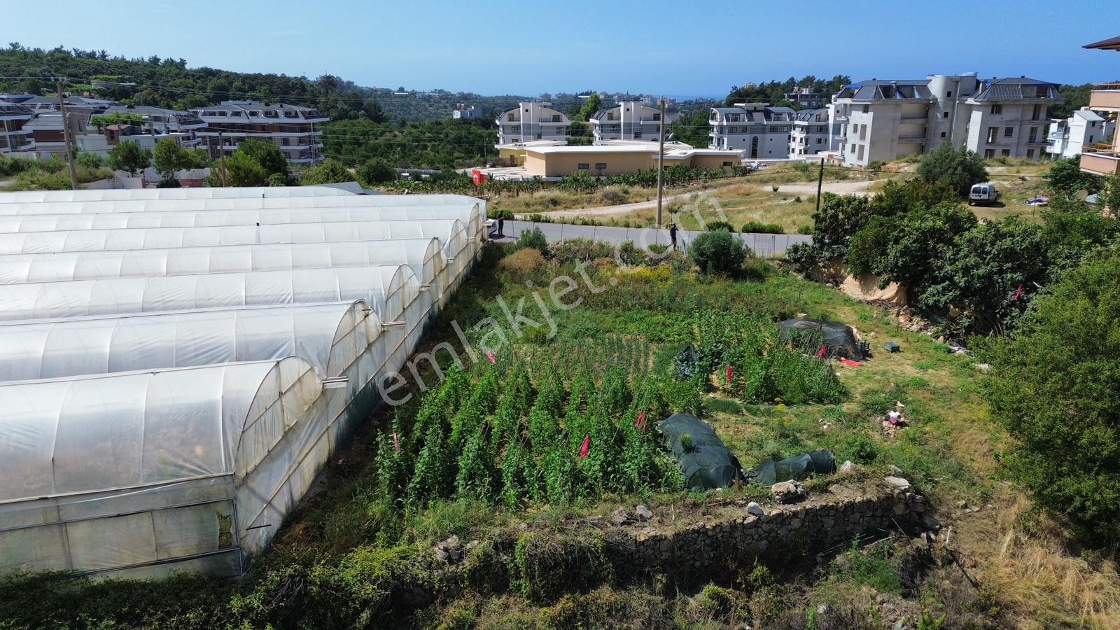Alanya Oba’da Yatırımlık İmarlı Arsa Fırsatı! 🏡 - Görsel 8