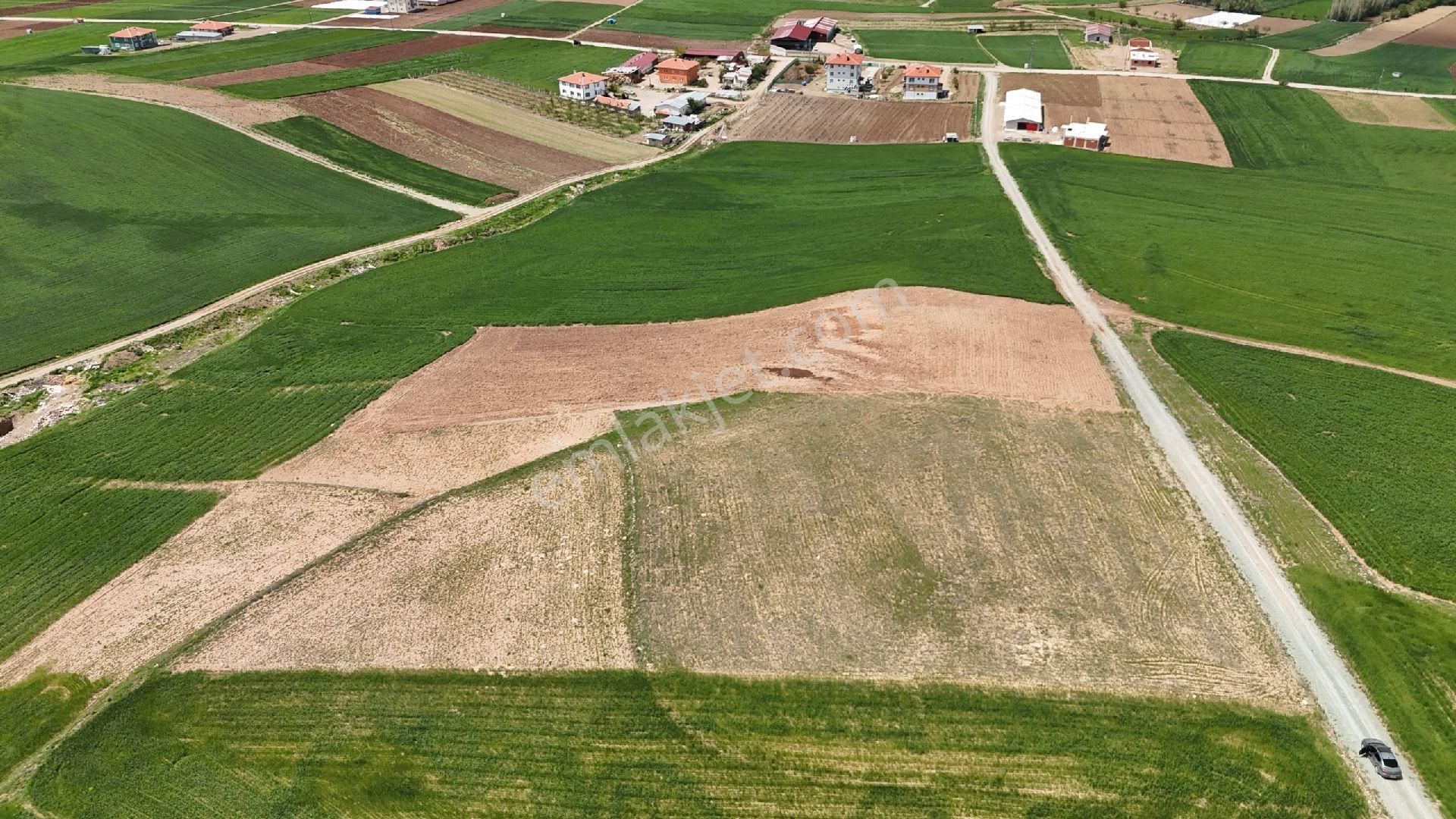 Mükemmel Konumda Tek Tapu Ev Ahır Bahçe Yapımına Uygun Tarla