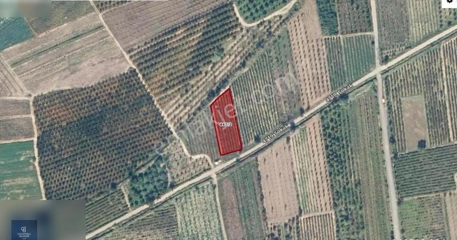 Geyve Umurbey Köyünde Satılık 1,486 M2 Üzüm Bağı