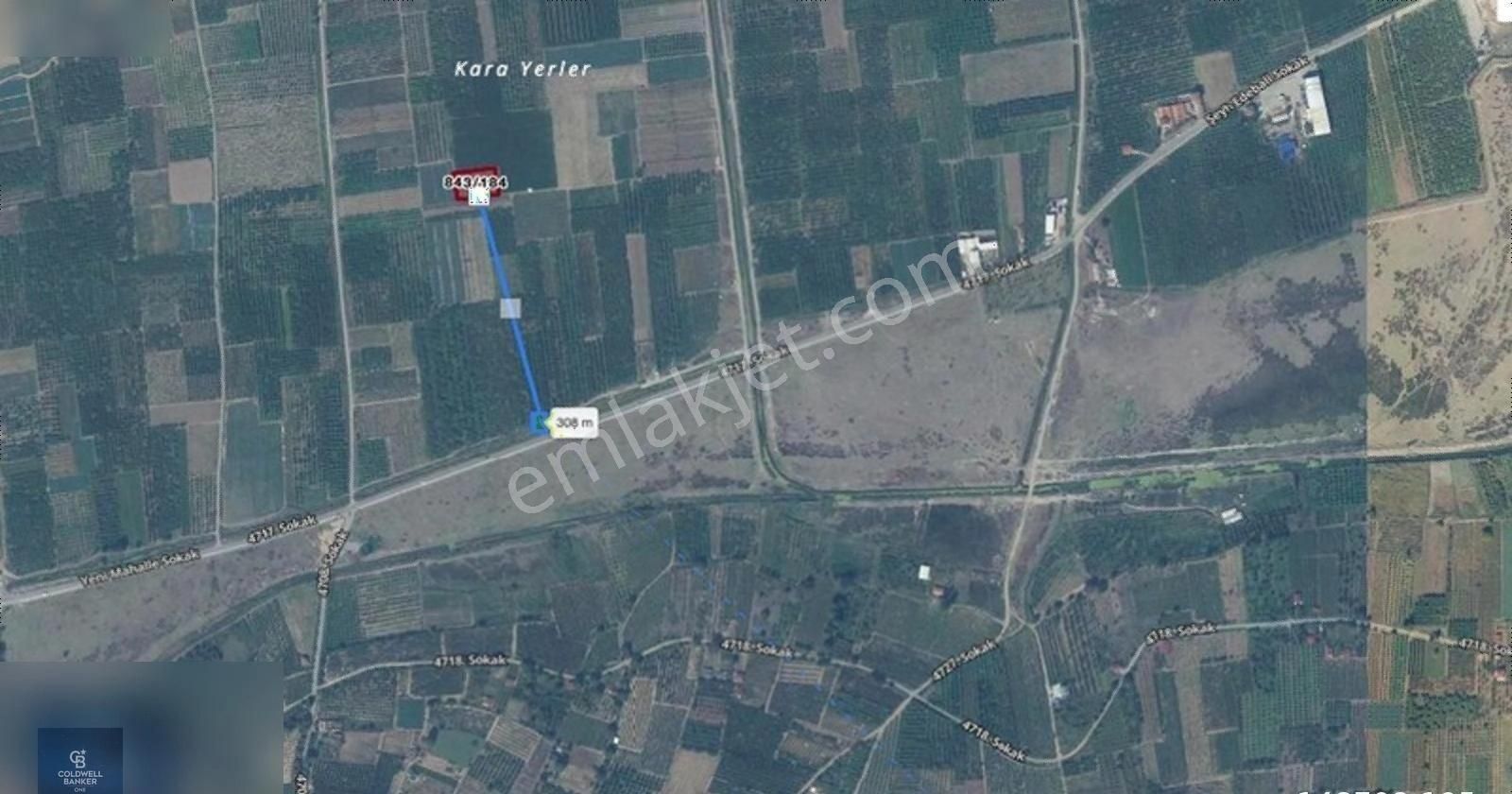 Sakarya Geyve Umurbey Köyünde 1.871 M2 Satılık Meyve Bahçesi