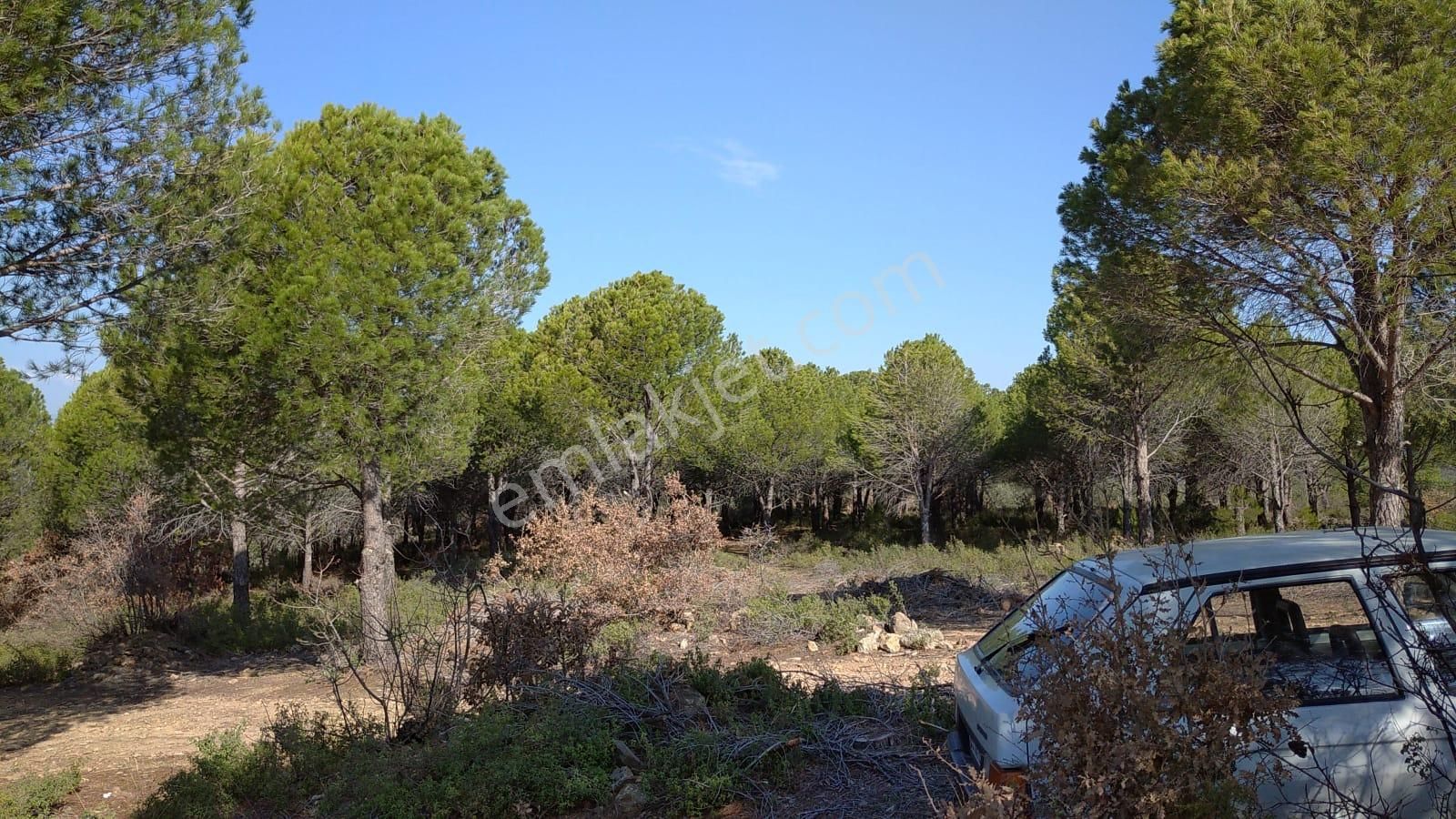 Avunduk Köyünde Köye 500 Mt Yolu Olan Arsa