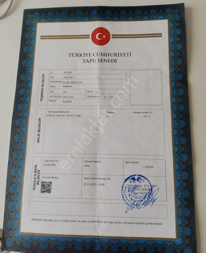 Fırsat Zeytinlik