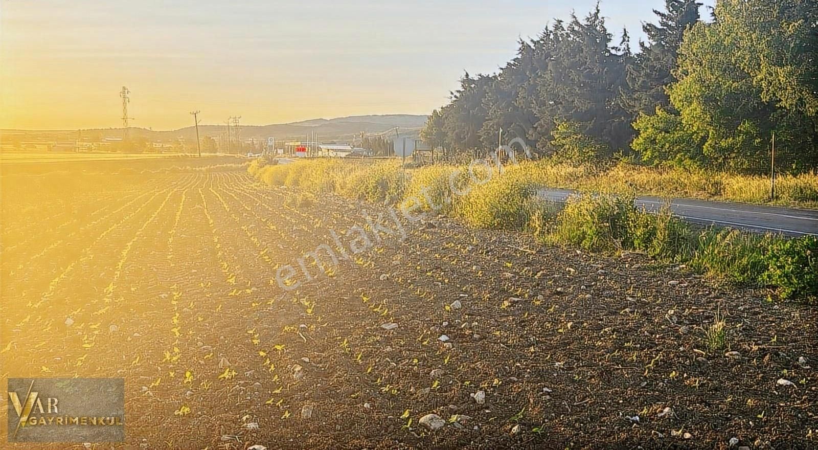 Kırklareli Vize Okçular Da Satılık 7800m2 Asfalta 2.parsel Tarla