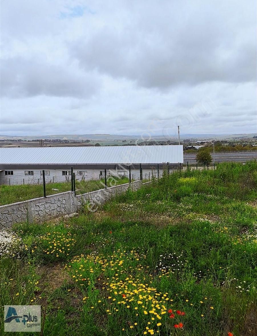 Çatalca Kestanelik İmarlı Arsa 1000 M2 - Görsel 9