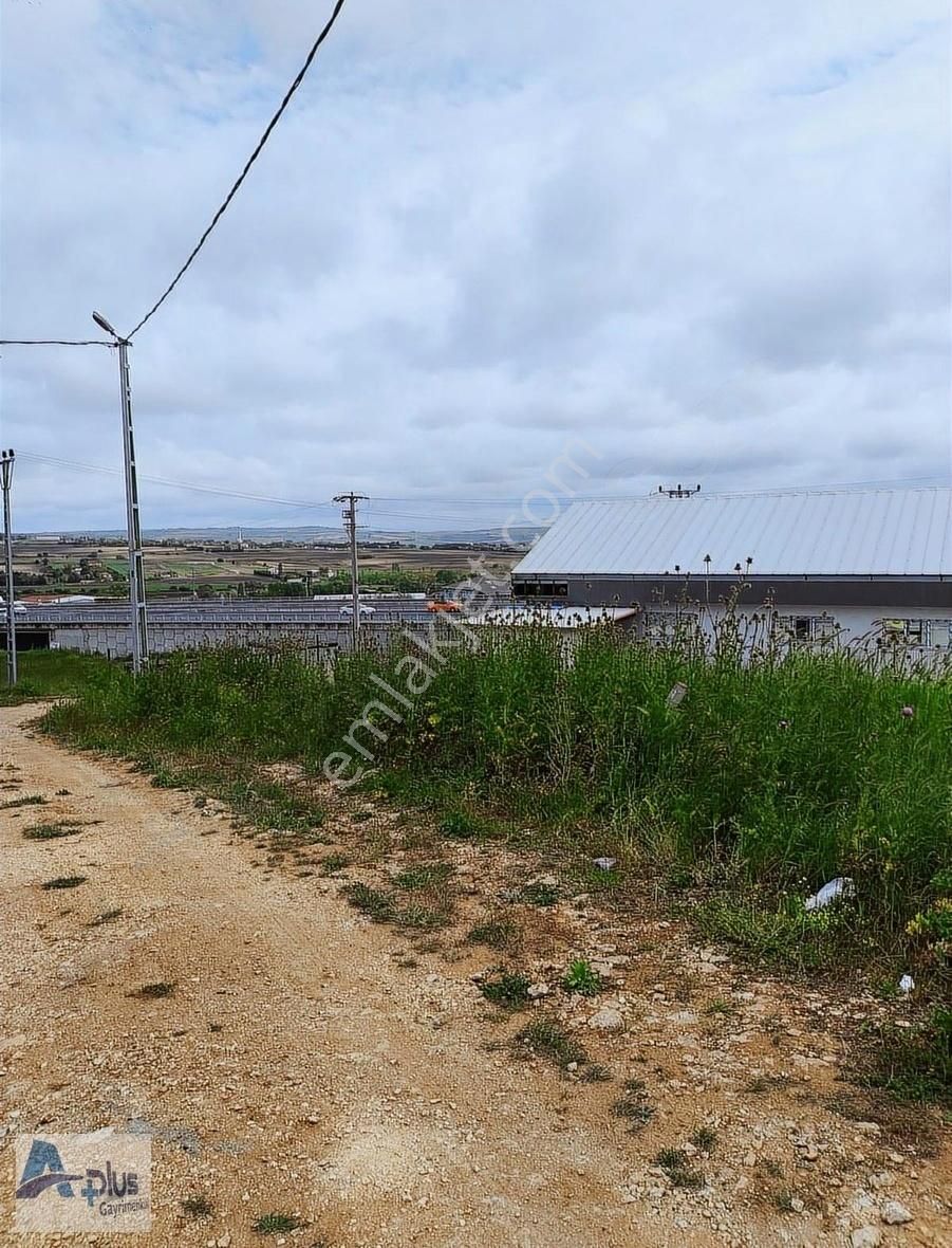 Çatalca Kestanelik İmarlı Arsa 1000 M2 - Görsel 11