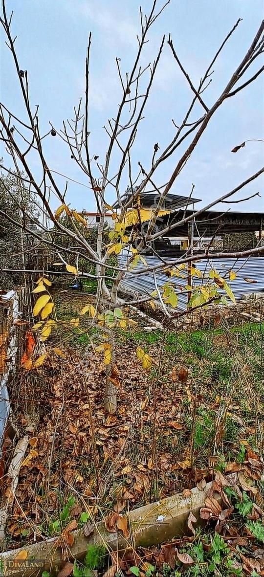 Efeler Kardeşköy'de Şehir Hastanesine Yakın,3 Kat İmarlı Arsa - Görsel 11