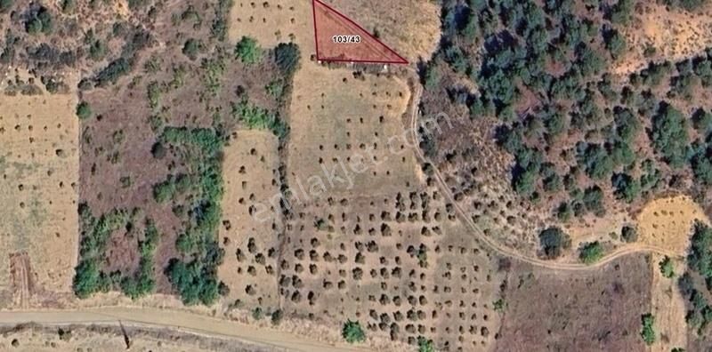 İnhisar Tozman Resmi Yollu İçine Araçla Giriliyor