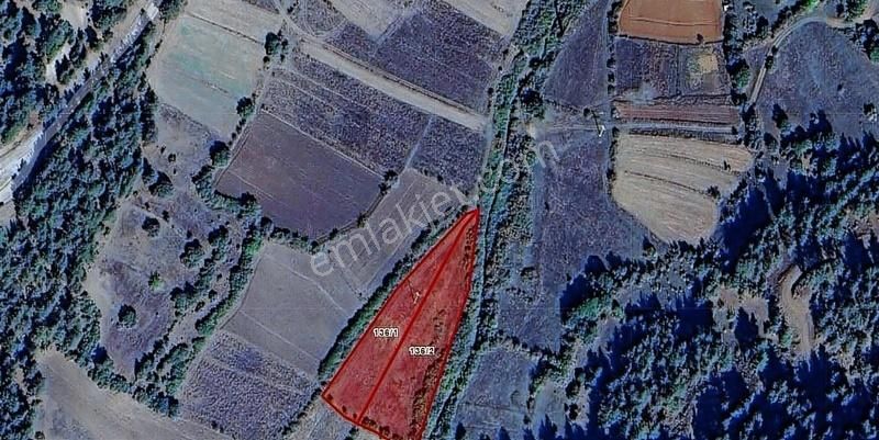Kütahya Tavşanlı'da 2400 M2 Elektrik Yol Su Mevcut.