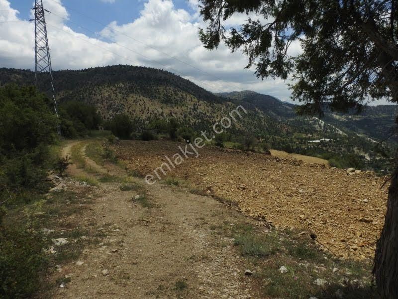 Çameli Cumaalanında Yerleşime Çok Yakın 7598 M2 Tarla
