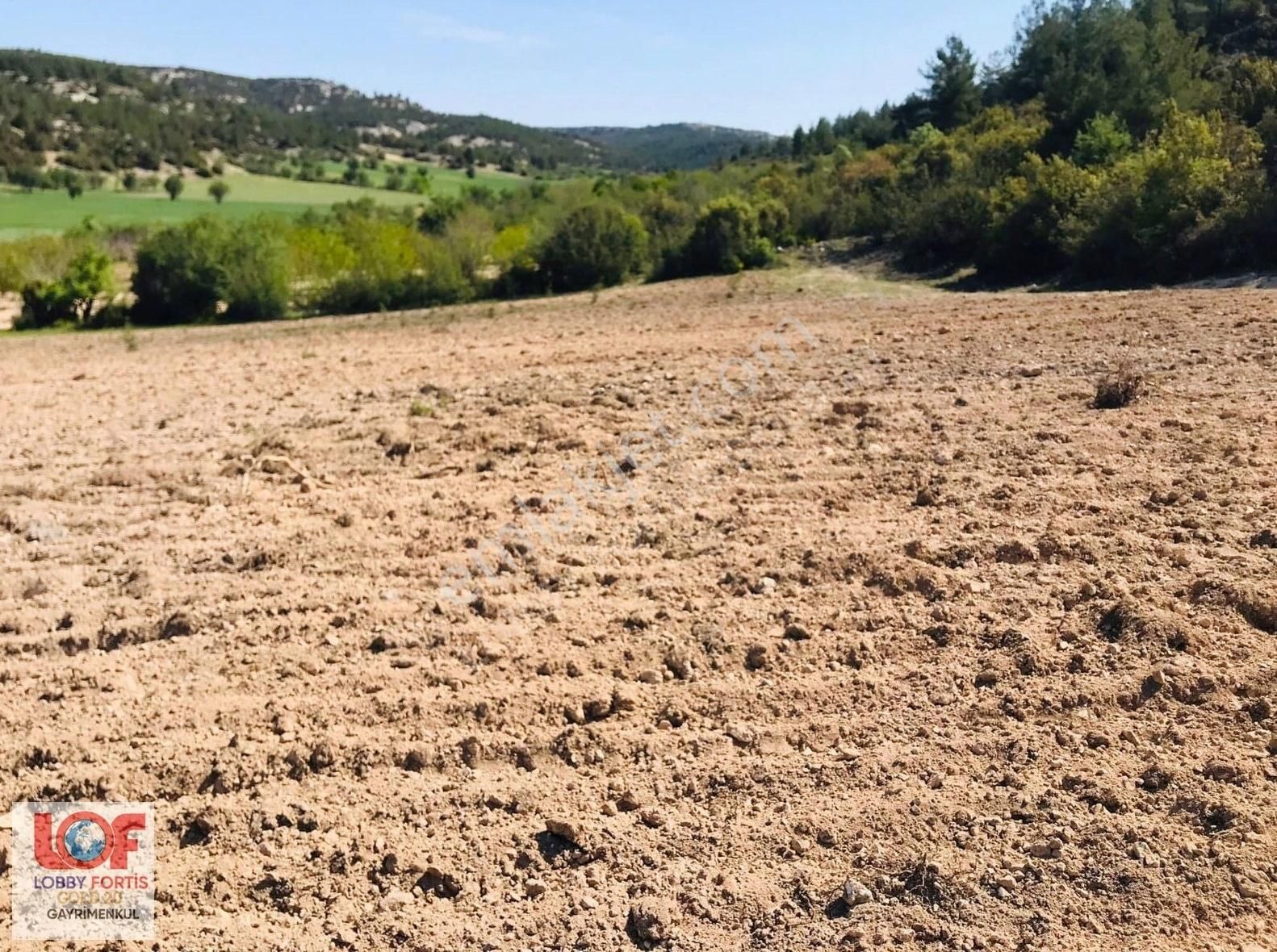 Lobby Fortisten Bekilli Kutlubey Mahallesinde Satılık Tarla - Görsel 2