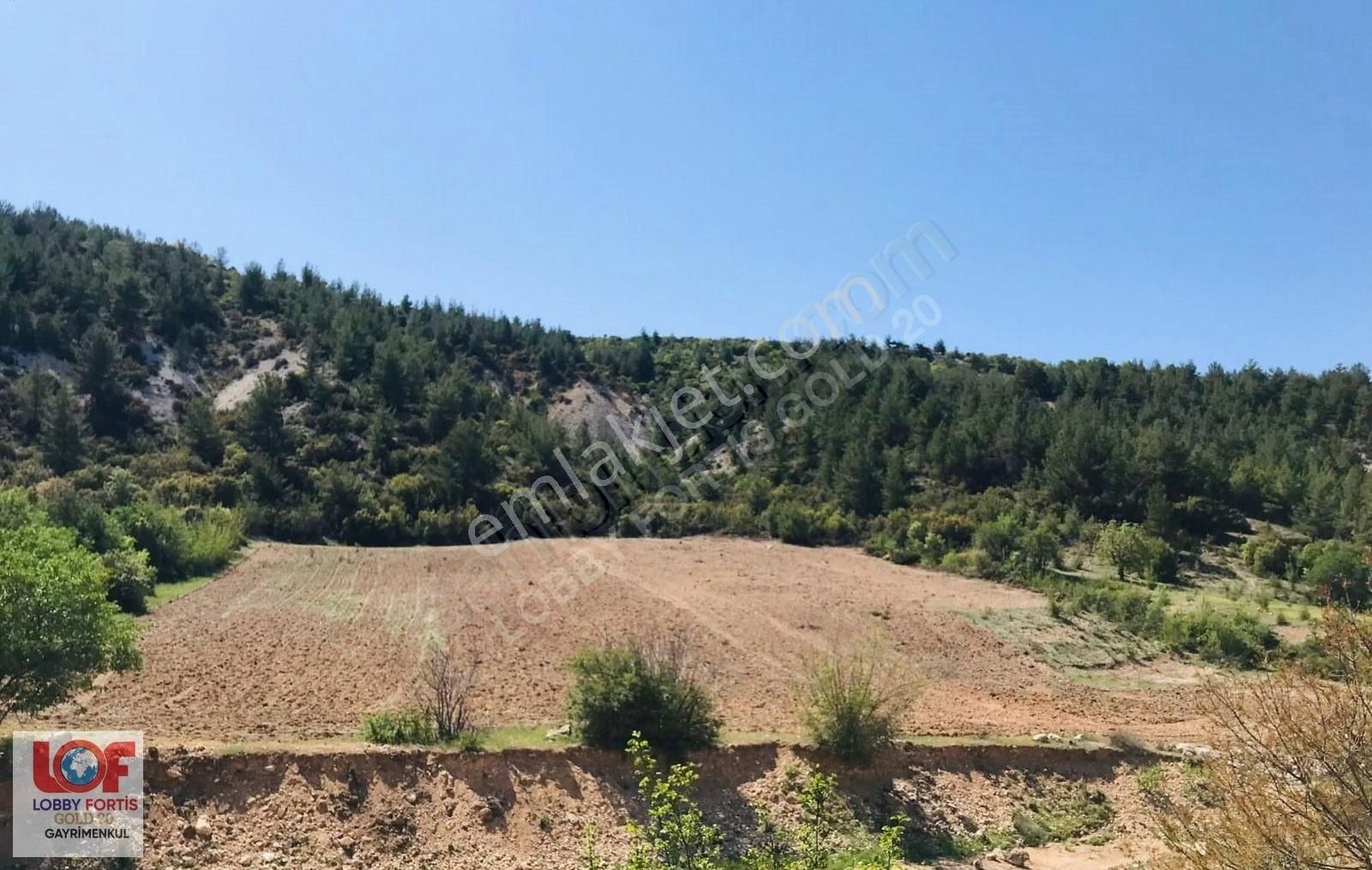 Lobby Fortisten Bekilli Kutlubey Mahallesinde Satılık Tarla