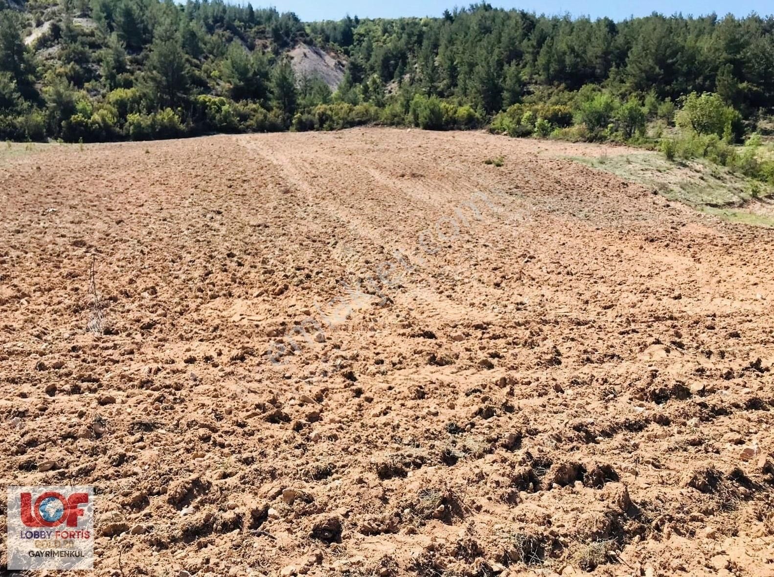 Lobby Fortisten Bekilli Kutlubey Mahallesinde Satılık Tarla - Görsel 5