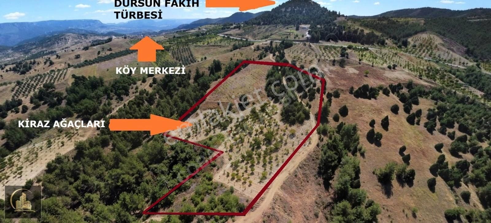 Söğütte Türbe Karşısı Köy Merkezine 1 Km Uzakta 15.269 M2 Tarla