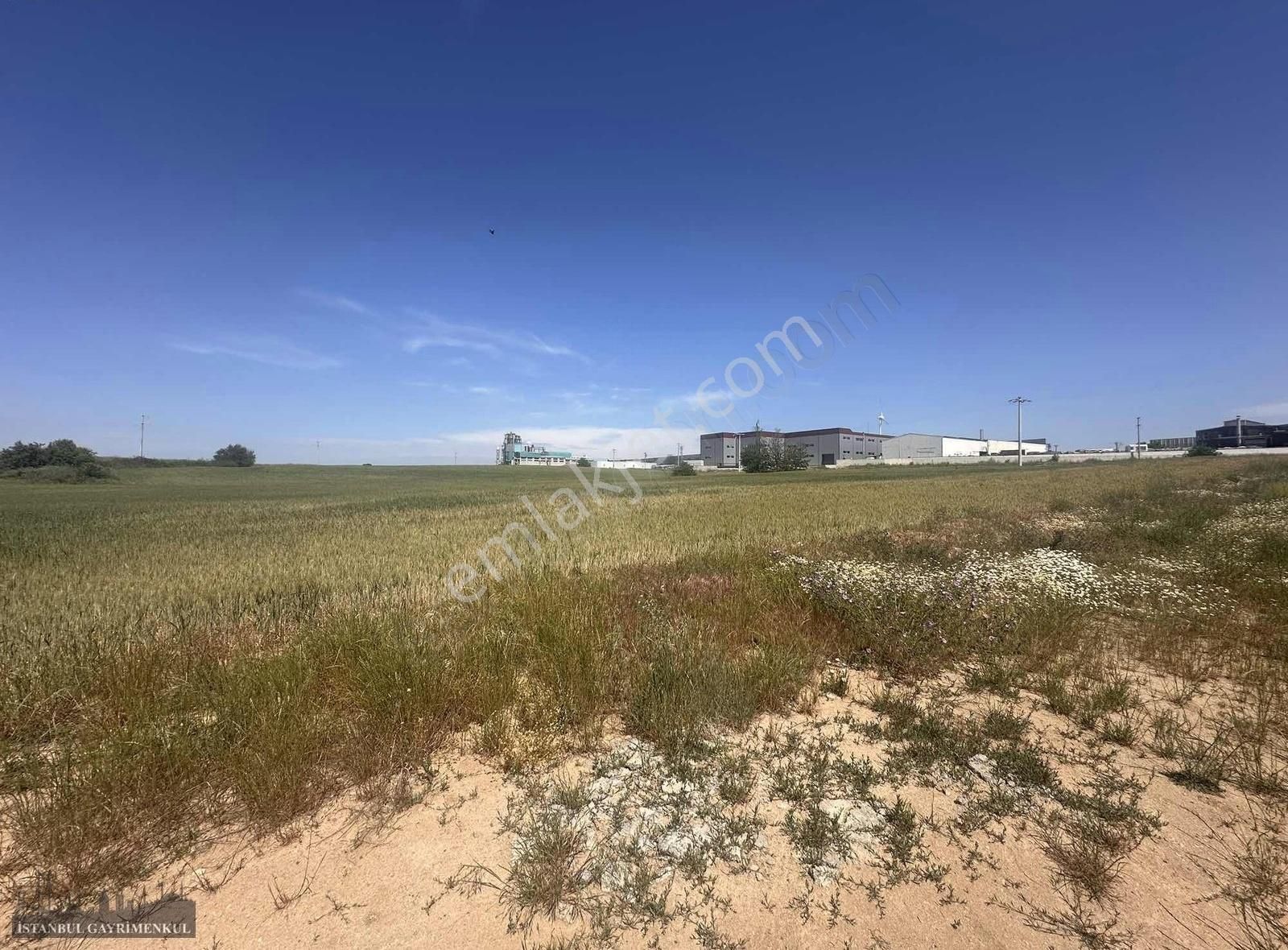 Veliköy'de Satılık Sanayi Arsası - Görsel 5