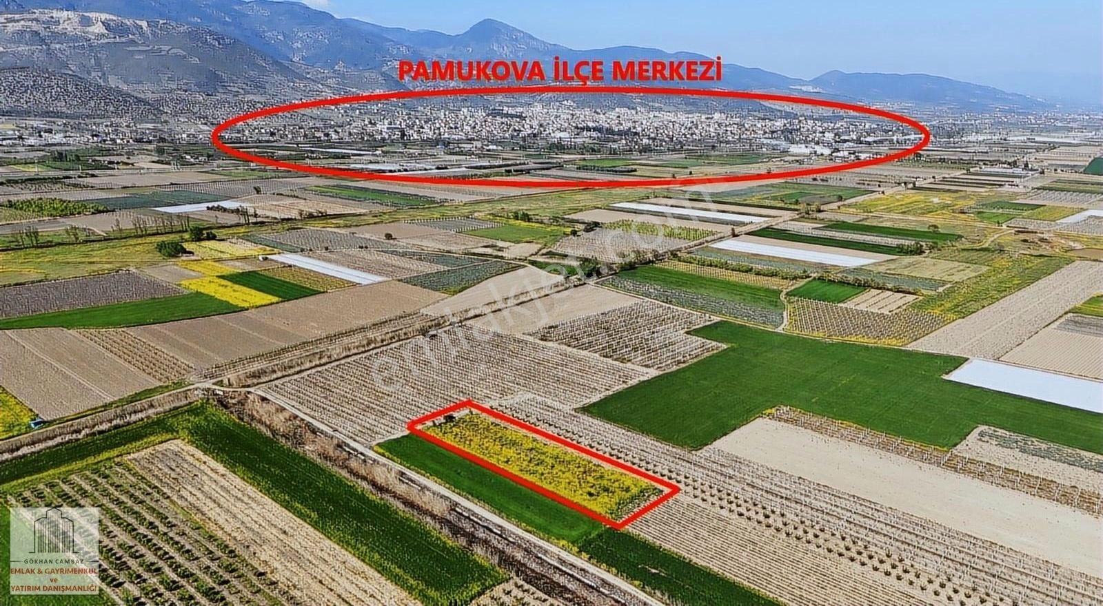 Pamukova İlçe Merkeze Yakın Mesafede Bakımlı Ceviz Bahçesi