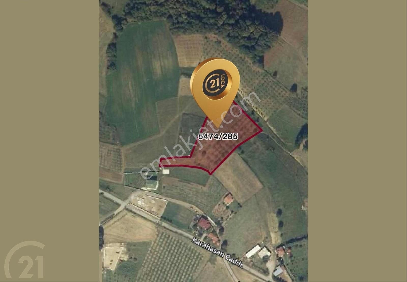 C21 Loca'dan Adapazarı'nda Satılık Tarla